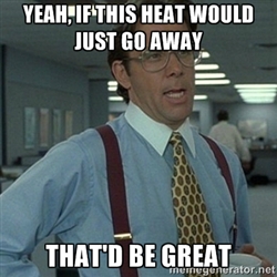 that would be great 54364111